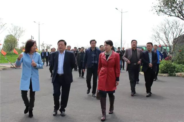 泰州市党政代表团考察嬉乐湾生态农业示范园