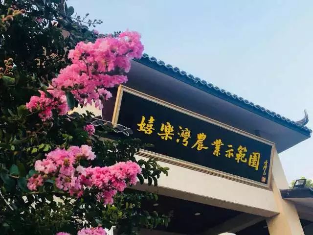 武进区第十届阳湖果品节在嬉乐湾盛大开幕