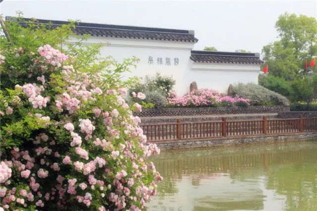 今天，我两岁了—嬉乐湾生态农业示范园